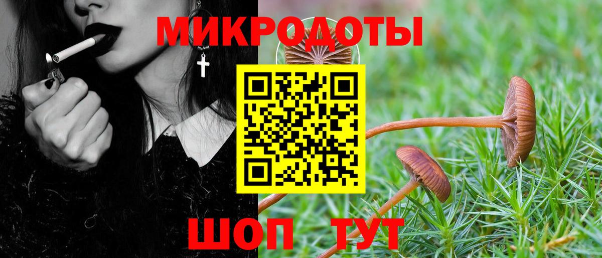Галлюциногенные грибы прущие грибы  Вход с VPN  Рыбинск 