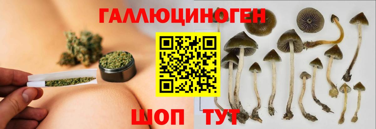 Псилоцибиновые грибы Cubensis Рыбинск